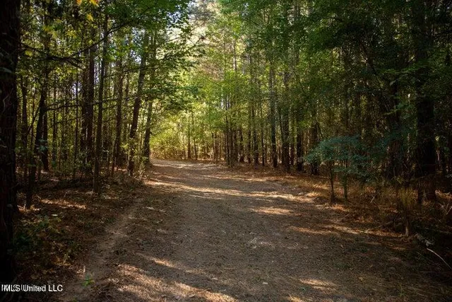 $1,750,000 | Vaughan Rd Road, Vaughan, MS 39179