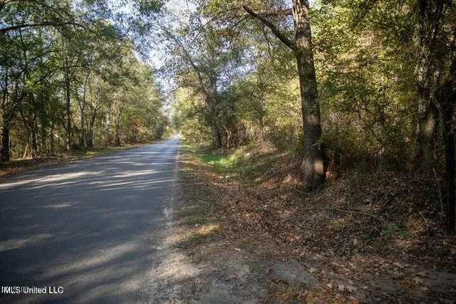 $1,750,000 | Vaughan Rd Road, Vaughan, MS 39179