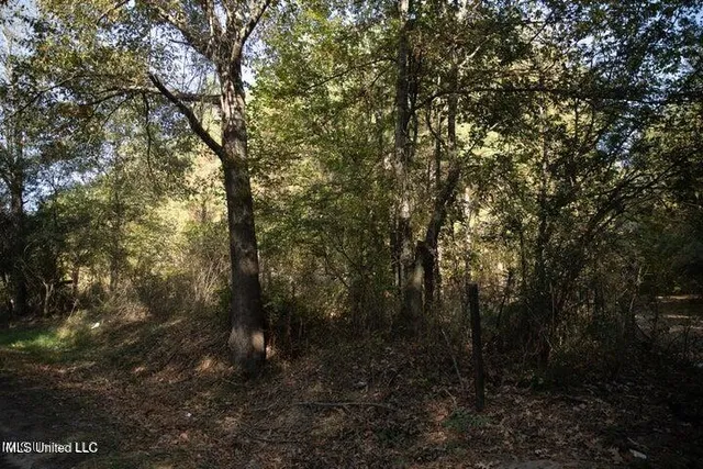 $1,750,000 | Vaughan Rd Road, Vaughan, MS 39179