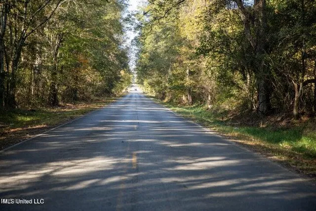 $1,750,000 | Vaughan Rd Road, Vaughan, MS 39179