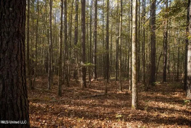 $1,750,000 | Vaughan Rd Road, Vaughan, MS 39179