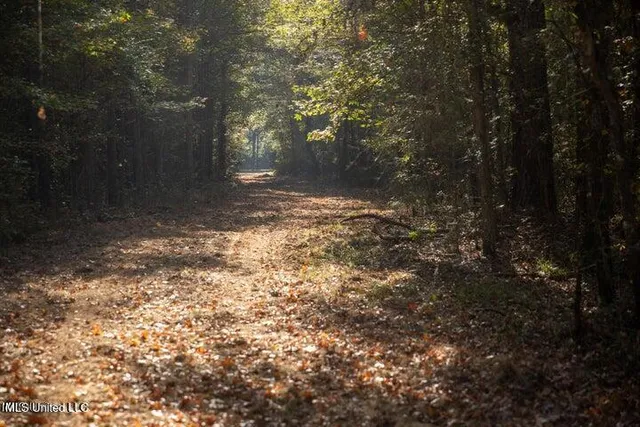 $1,750,000 | Vaughan Rd Road, Vaughan, MS 39179