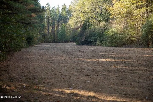 $1,750,000 | Vaughan Rd Road, Vaughan, MS 39179