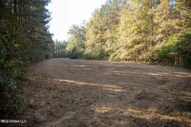 $1,750,000 | Vaughan Rd Road, Vaughan, MS 39179