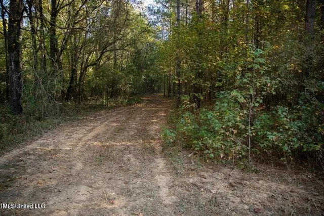 $1,750,000 | Vaughan Rd Road, Vaughan, MS 39179