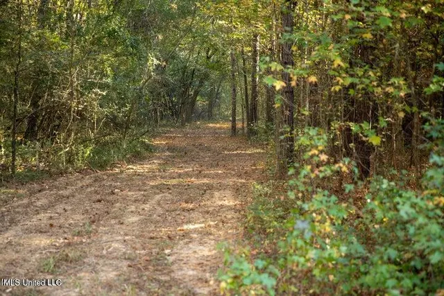 $1,750,000 | Vaughan Rd Road, Vaughan, MS 39179