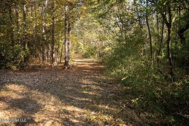$1,750,000 | Vaughan Rd Road, Vaughan, MS 39179