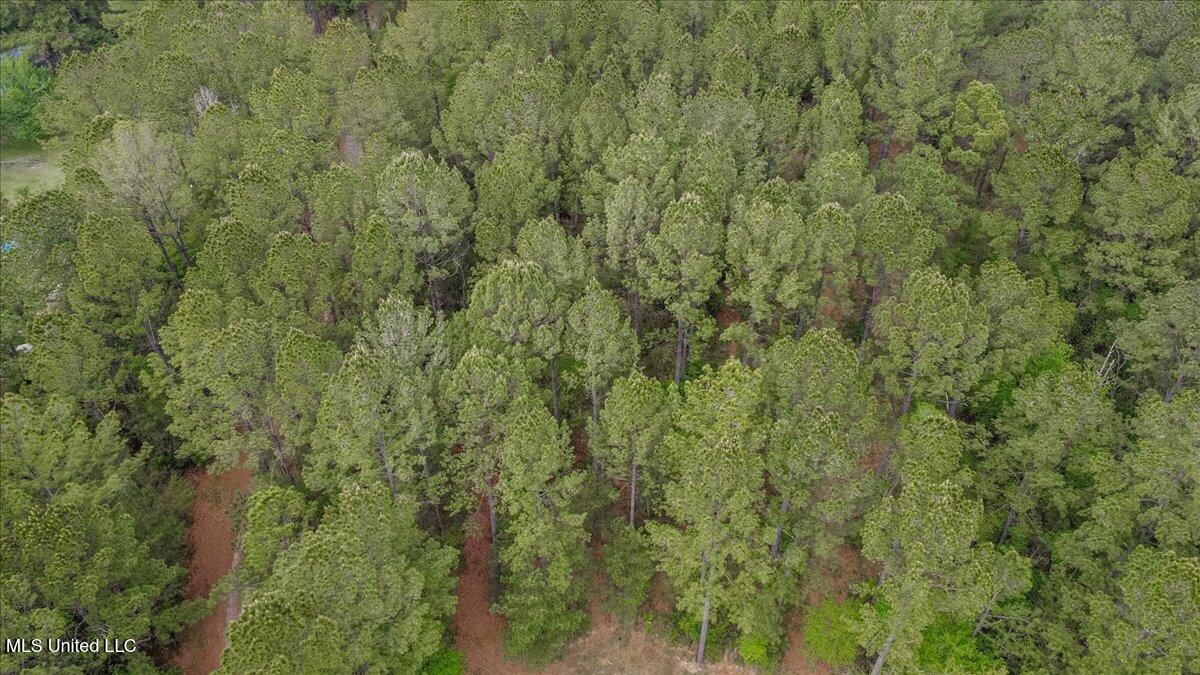 17921 Rayford Shumock Road Moss Point, MS 39562 - Photo 3 of 23 02-DJI_0177