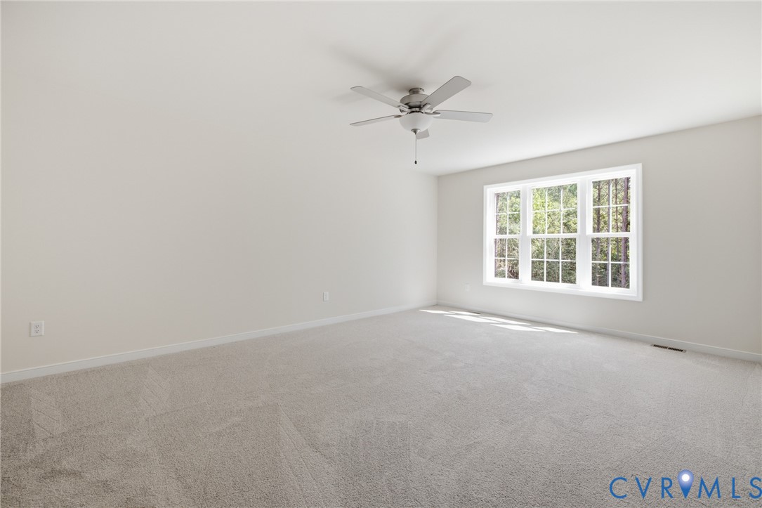 8398 Railroad Bed Road Carson, VA 23830 - Photo 16 of 27 Gallery Image 16