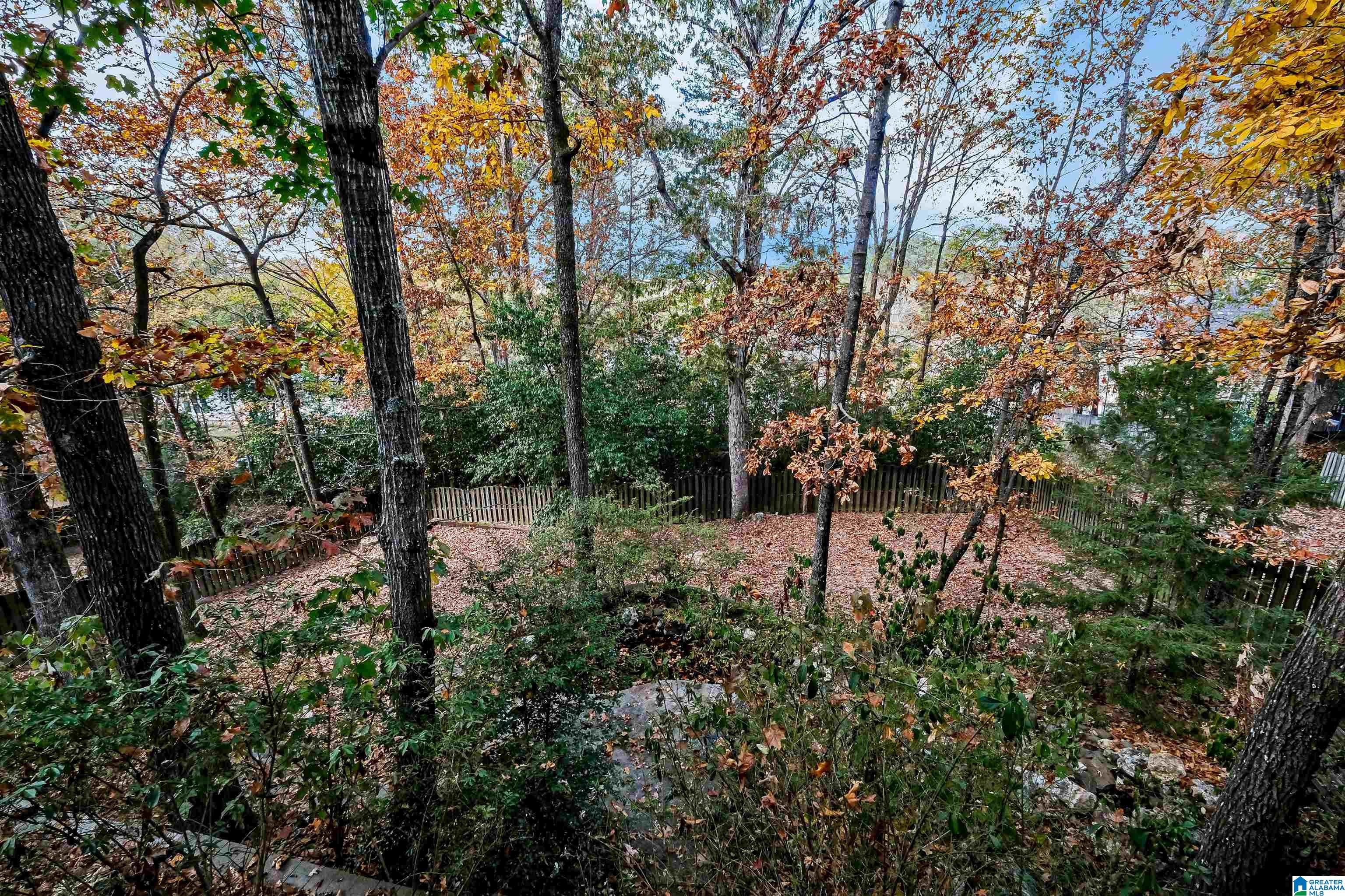 1728 Native Dancer Circle Helena, AL 35080 - Photo 48 of 50