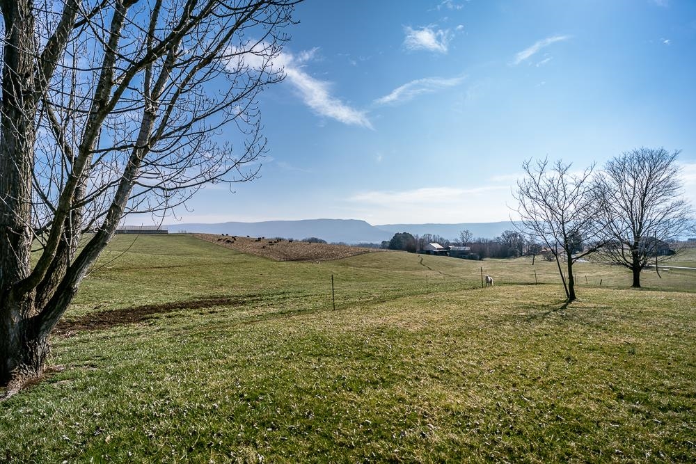 2130 Wissler Road Mount Jackson, VA 22842 - Photo 33 of 35 Gallery Image 33