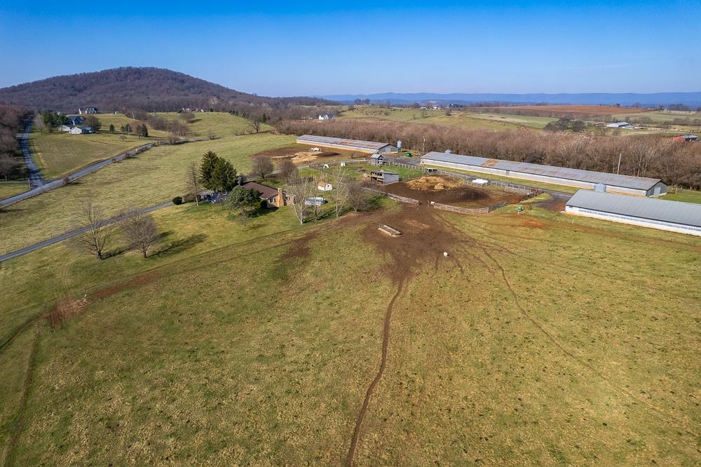 2130 Wissler Road Mount Jackson, VA 22842 - Photo 4 of 35 Gallery Image 4