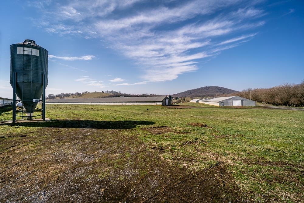 2130 Wissler Road Mount Jackson, VA 22842 - Photo 9 of 35 Gallery Image 9