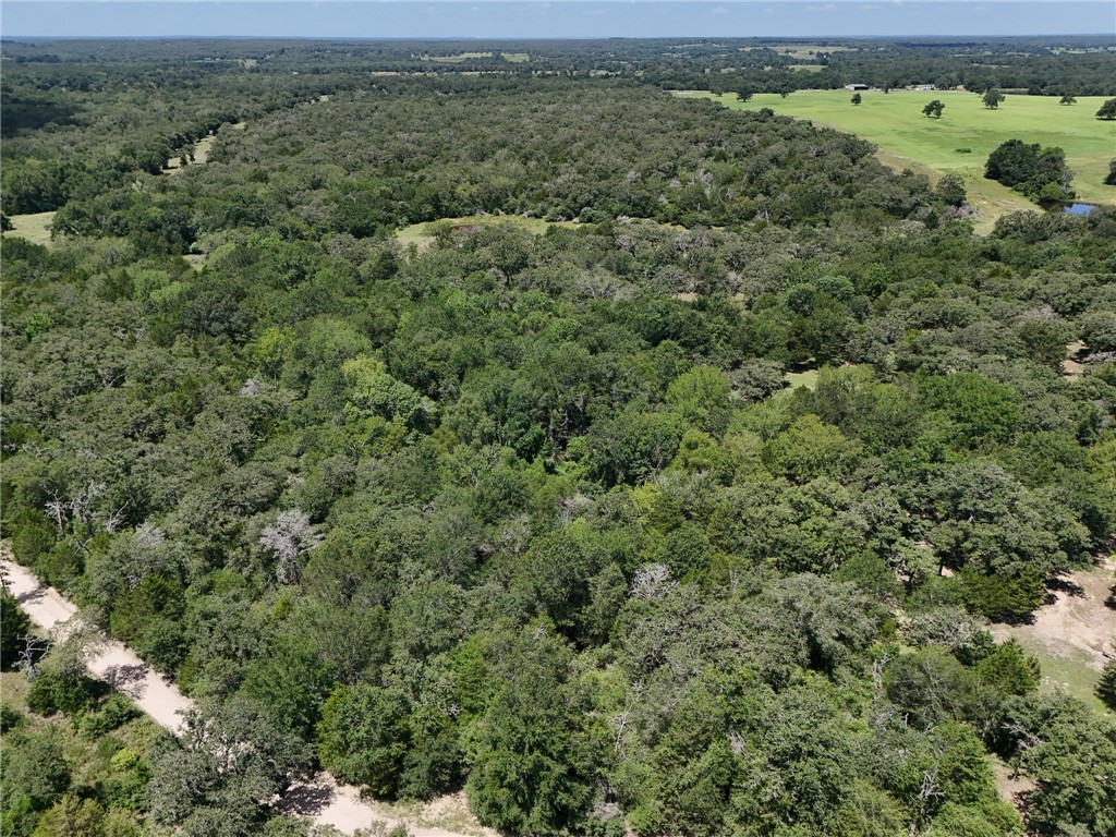 Tbd Starlight Path Caldwell, TX 77836 - Photo 4 of 6 Gallery Image 4