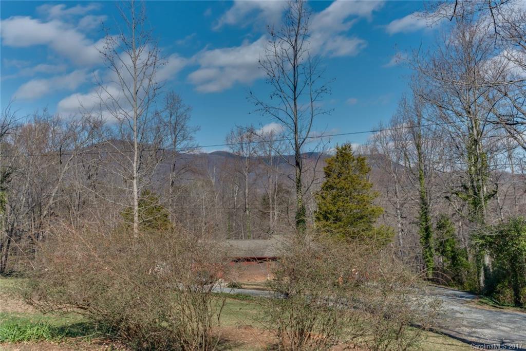 686 Wilderness Road Tryon, NC 28782 - Photo 16 of 16