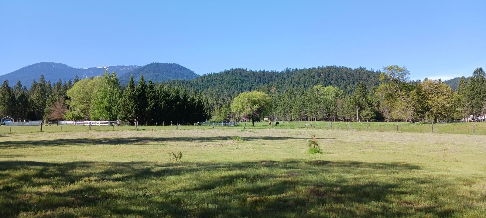 379 Latigo Ranch Road Williams, OR 97544 - Photo 23 of 36 Resized_20230512_092743