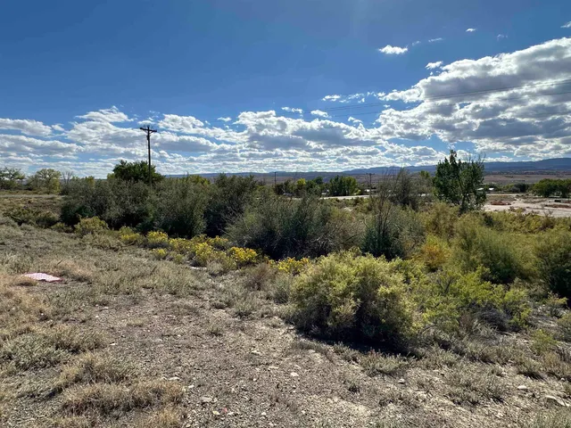 a view of a bunch of trees in a field