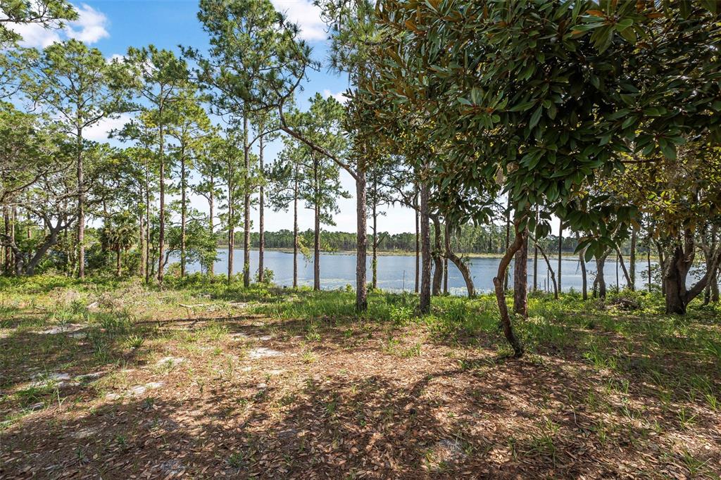 2620 Doyle Road Deltona, FL 32738 - Photo 45 of 54 a view of backyard with green space