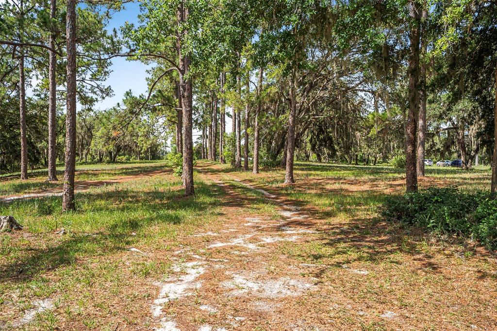 2620 Doyle Road Deltona, FL 32738 - Photo 46 of 54 a view of a tree in a yard