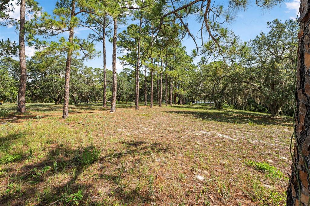 2620 Doyle Road Deltona, FL 32738 - Photo 49 of 54 a backyard of a house with lots of green space