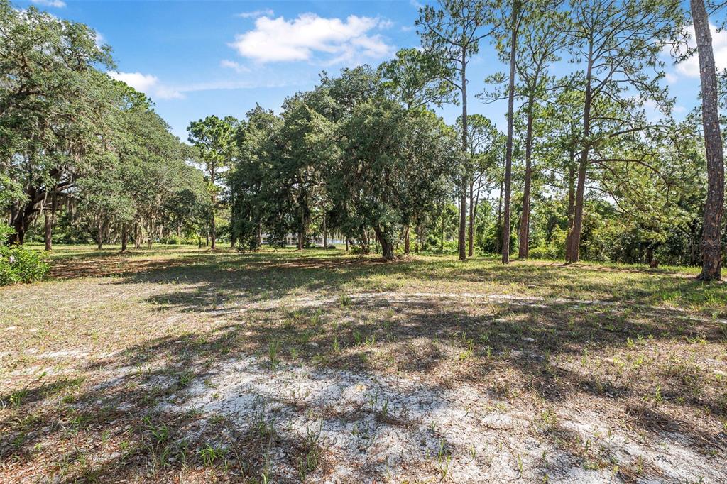 2620 Doyle Road Deltona, FL 32738 - Photo 50 of 54 a view of outdoor space with trees