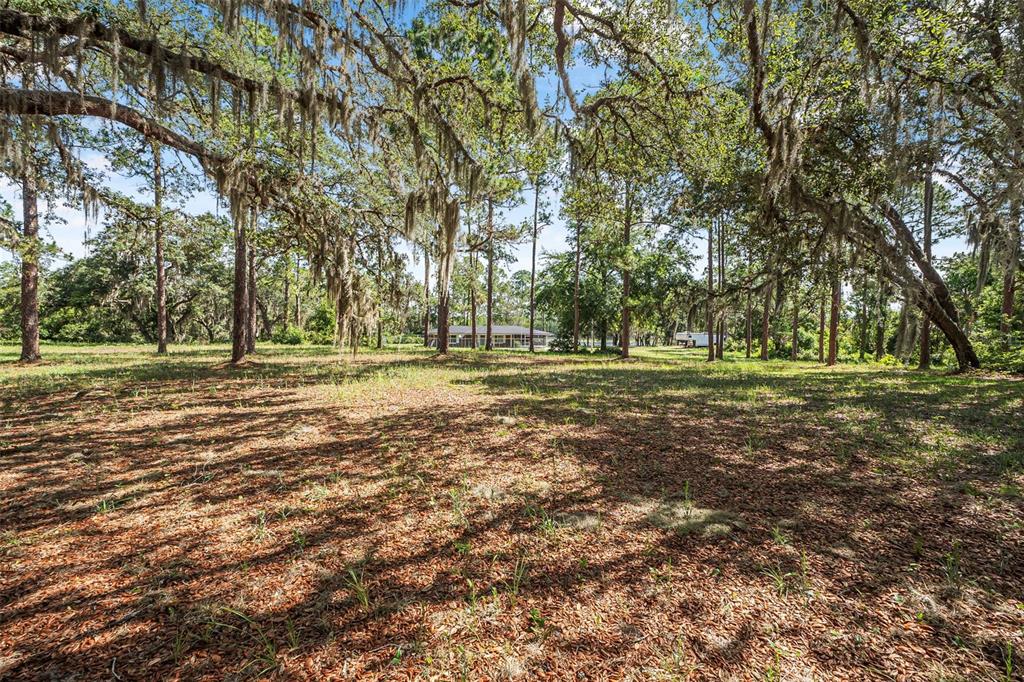 2620 Doyle Road Deltona, FL 32738 - Photo 51 of 54 a view of a green field