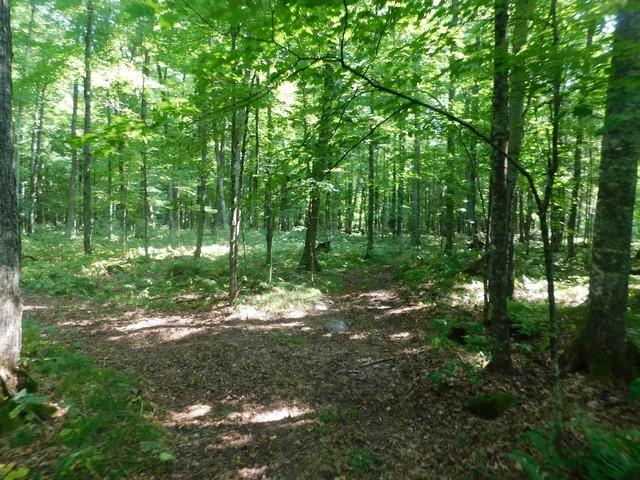 20-acres Fatla Road Armstrong Creek, WI 54103 - Photo 11 of 13 Gallery Image 11