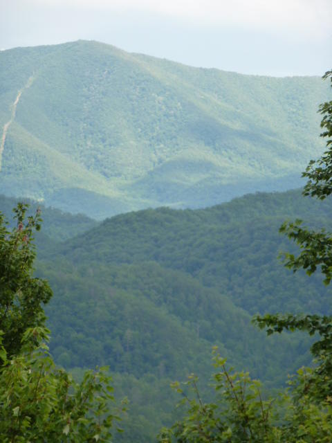 95 Long Rifle Road Walland, TN 37886 - Photo 1 of 3 P1050431