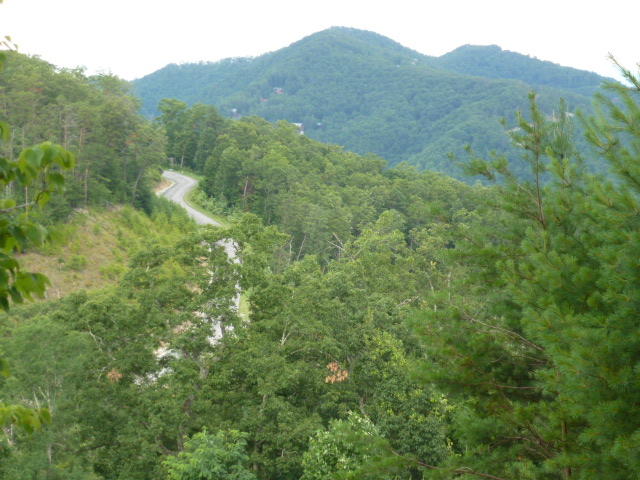 95 Long Rifle Road Walland, TN 37886 - Photo 2 of 3 P1050419