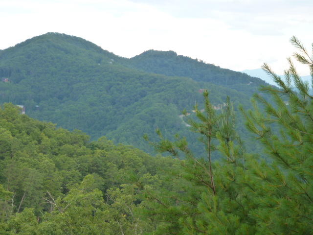 95 Long Rifle Road Walland, TN 37886 - Photo 3 of 3 P1050418