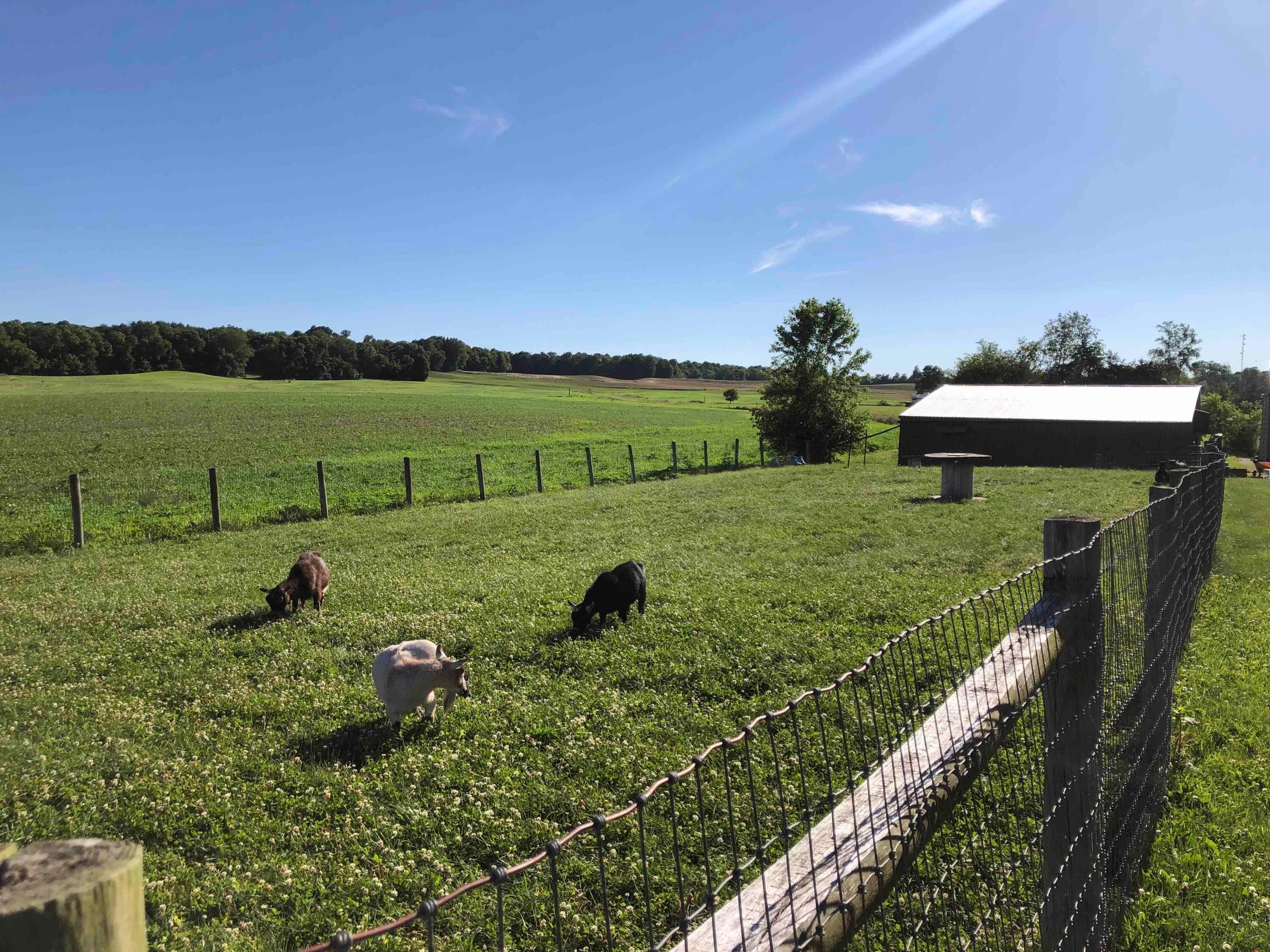 7249 Bowers Road Southwest Amanda, OH 43102 - Photo 14 of 53 Pasture and Barn