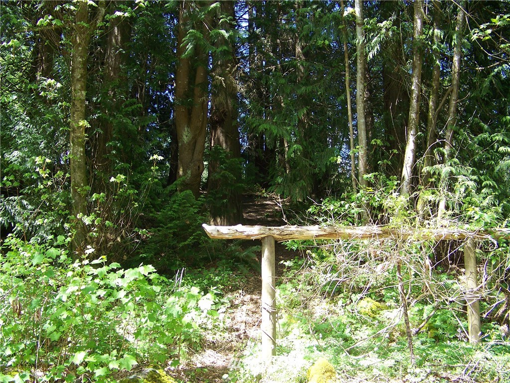 12404 Smokes Road Arlington, WA 98223 - Photo 11 of 24 Gallery Image 11