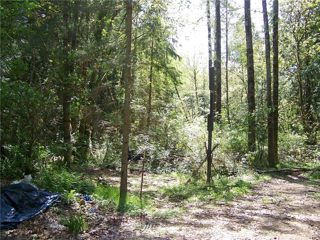 12404 Smokes Road Arlington, WA 98223 - Photo 12 of 24 Gallery Image 12
