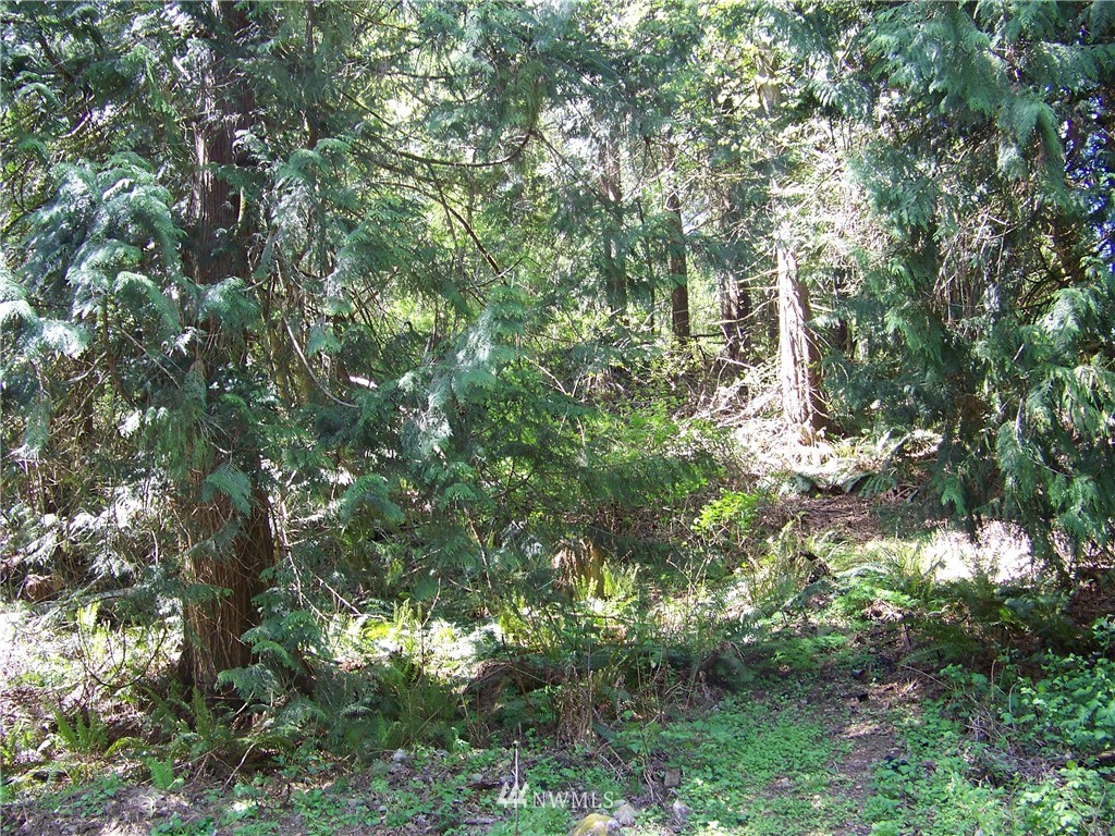 12404 Smokes Road Arlington, WA 98223 - Photo 13 of 24 Gallery Image 13
