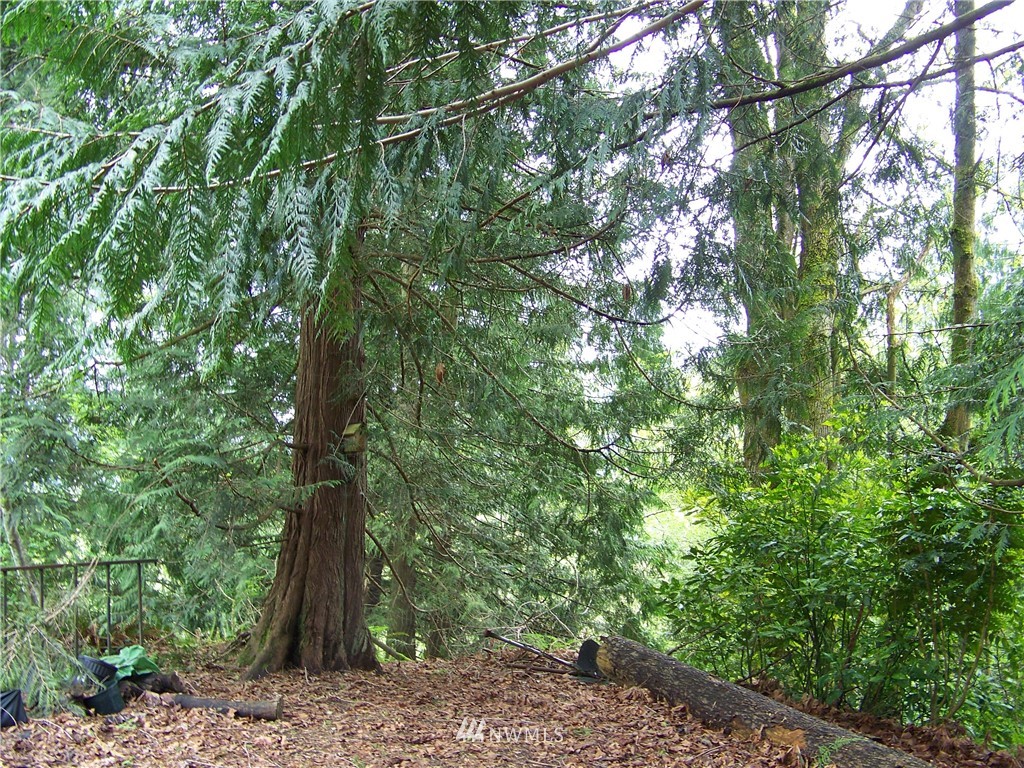 12404 Smokes Road Arlington, WA 98223 - Photo 6 of 24 Gallery Image 6