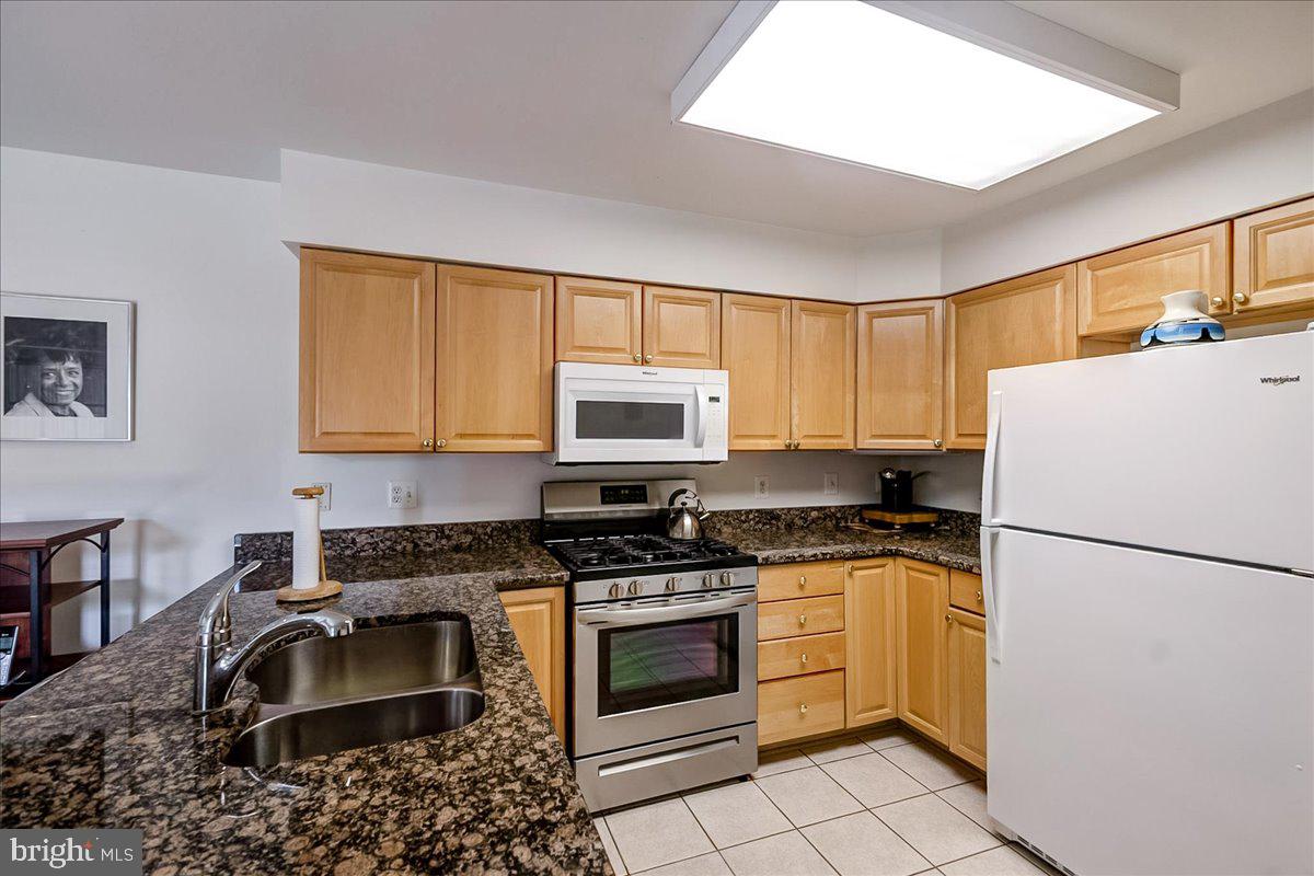 12320 Rosslare Ridge Road, Unit 201 Lutherville-Timonium, MD 21093 - Photo 23 of 41 Modern kitchen with sleek finishes.