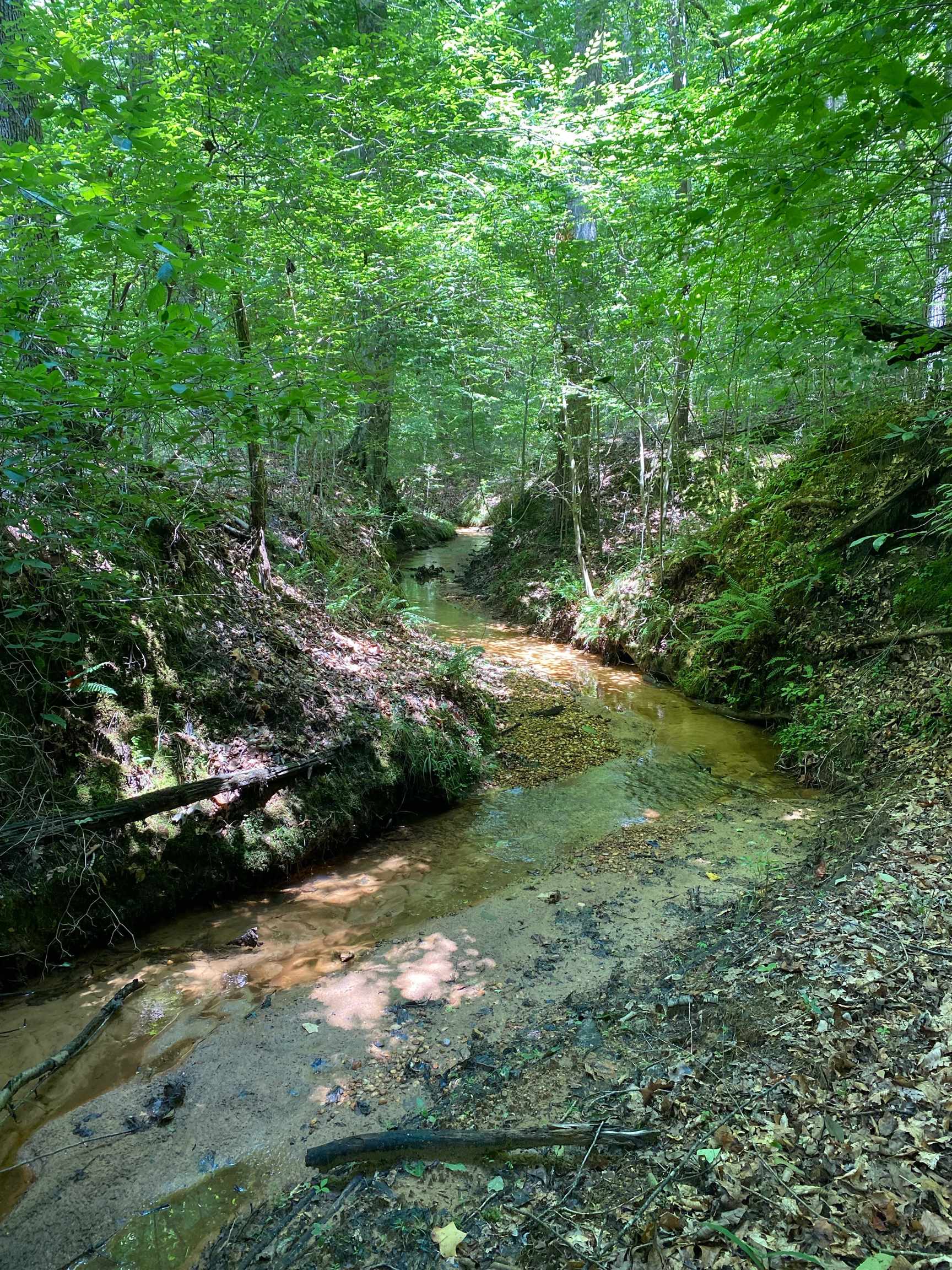 1570 Tulu Road Michie, TN 38357 - Photo 25 of 25 View of nature featuring a water view