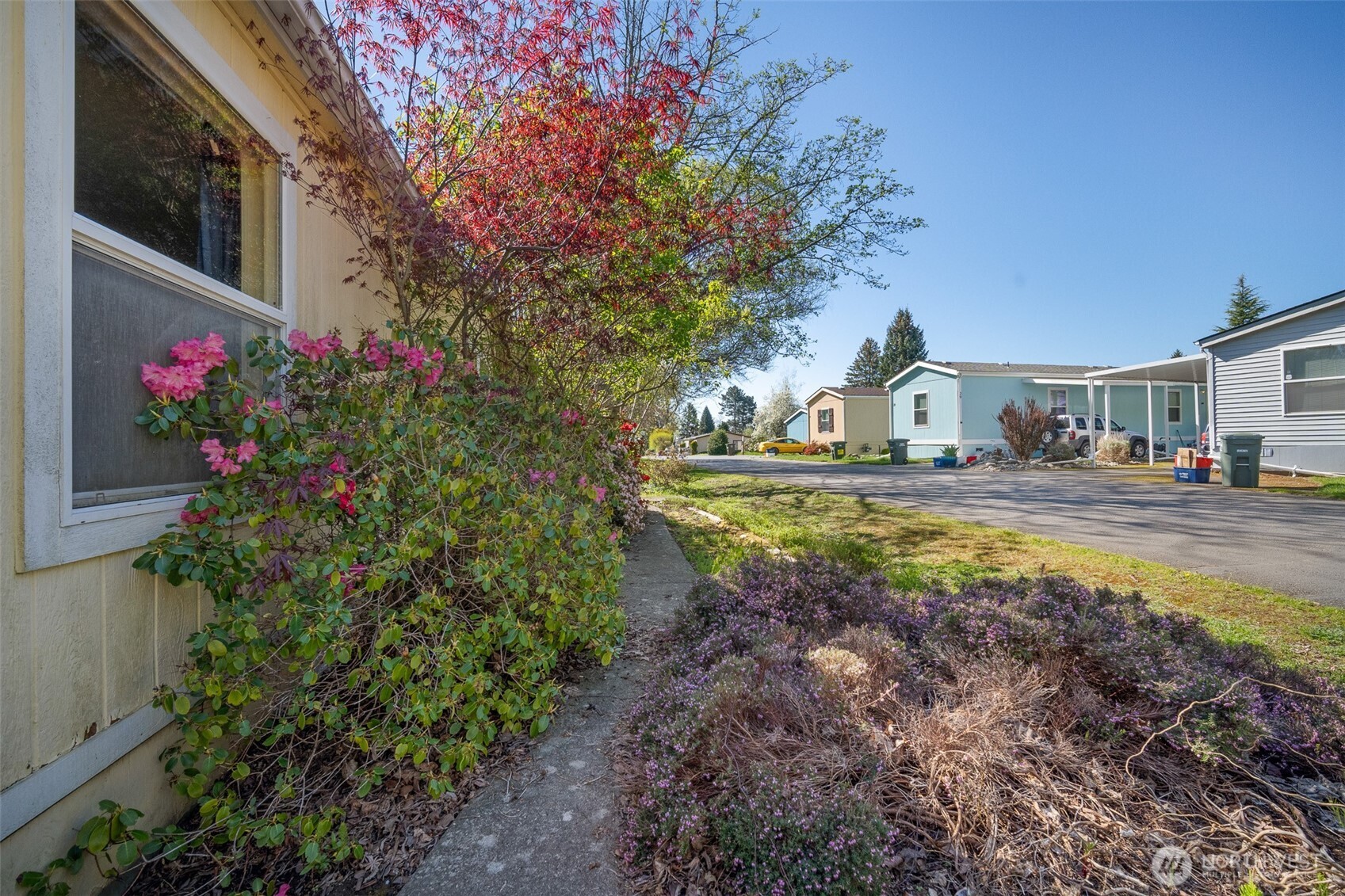 2350 Douglas Road, Unit 37 Ferndale, WA 98248 - Photo 13 of 40 a view of street with house and trees in the background