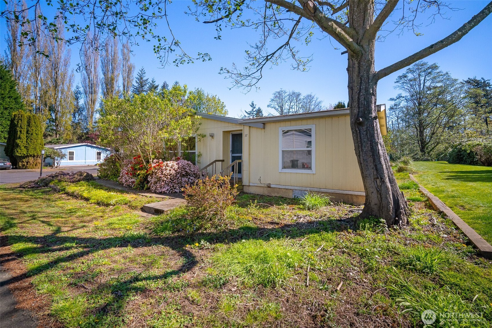 2350 Douglas Road, Unit 37 Ferndale, WA 98248 - Photo 2 of 40 a view of yellow house with a yard and potted plants