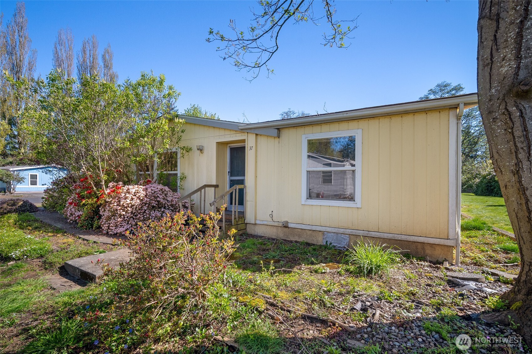 2350 Douglas Road, Unit 37 Ferndale, WA 98248 - Photo 3 of 40 a view of a house with a yard