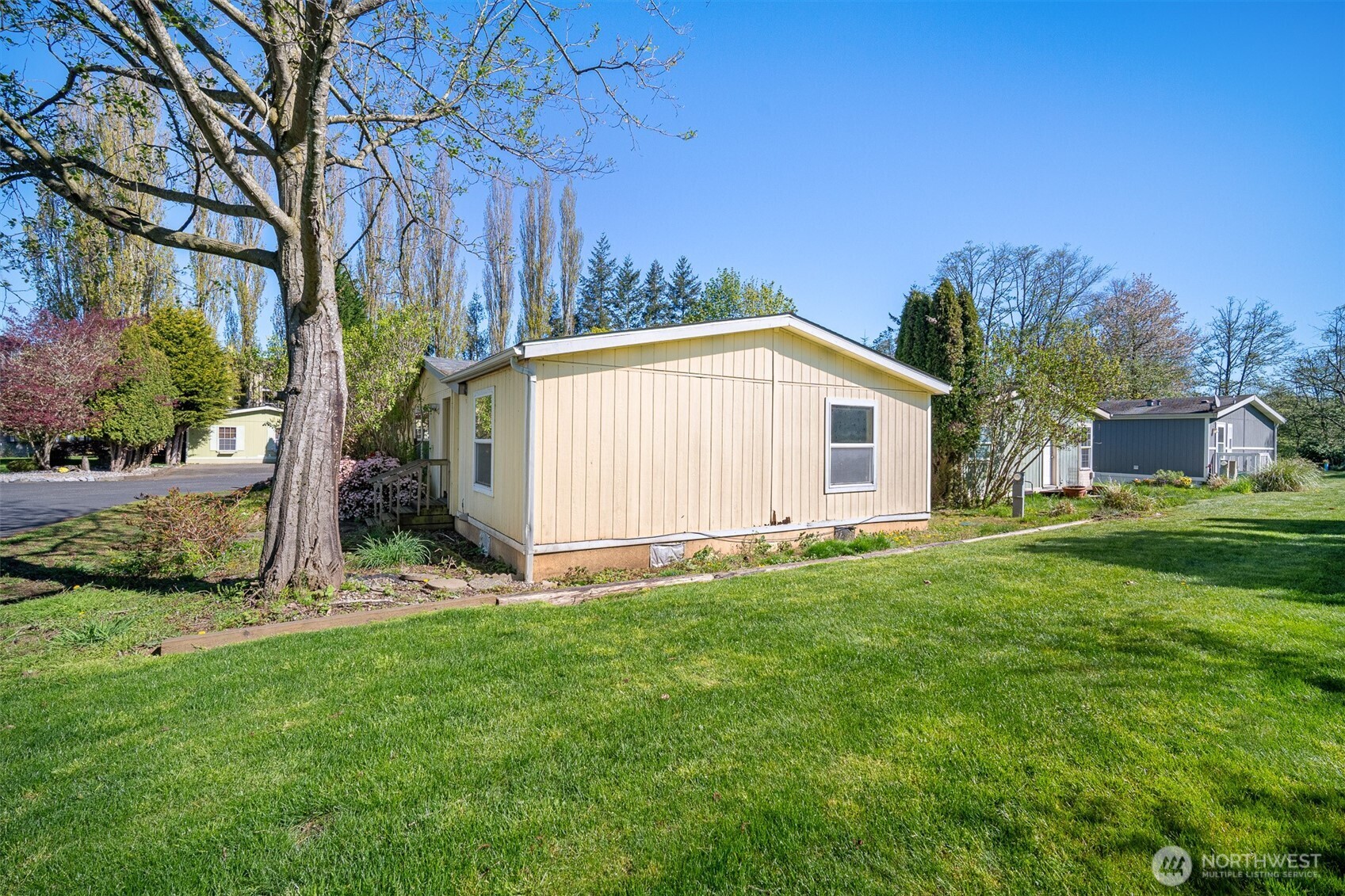 2350 Douglas Road, Unit 37 Ferndale, WA 98248 - Photo 5 of 40 a view of a backyard with plants and large tree