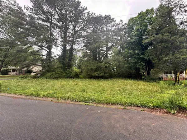 a view of a yard with plants and trees