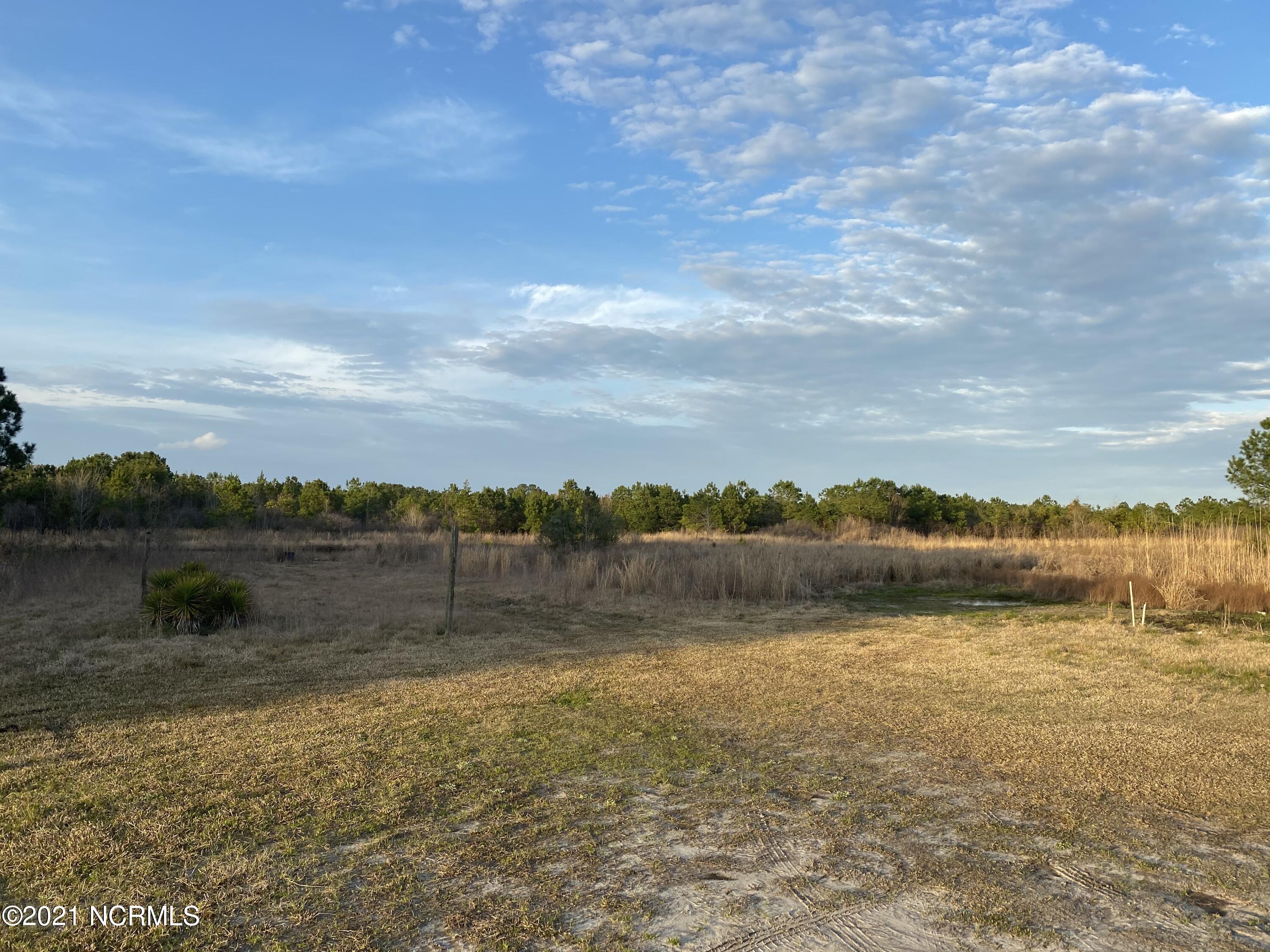 0 Wilmington Road Turkey, NC 28393 - Photo 2 of 2 wilmngton rd