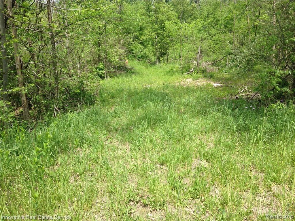 Parcel I Newark Road Attica, MI 48412 - Photo 12 of 13 Gallery Image 12