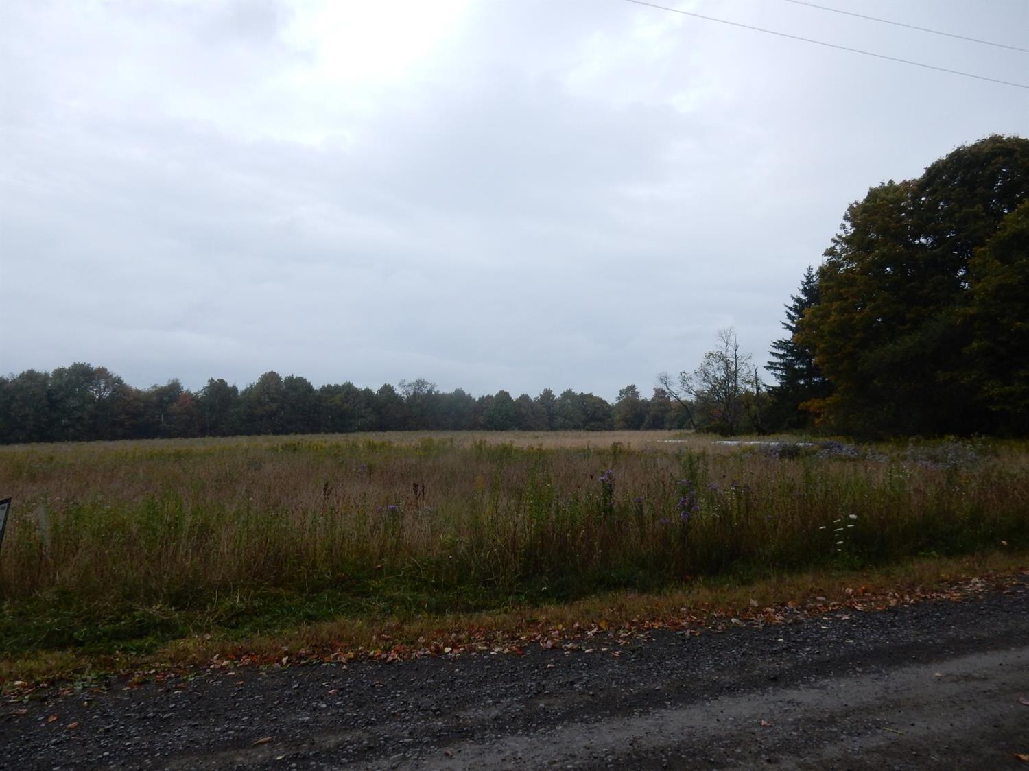 0 Center Road South Plymouth, NY 13844 - Photo 1 of 1 Gallery Image 1
