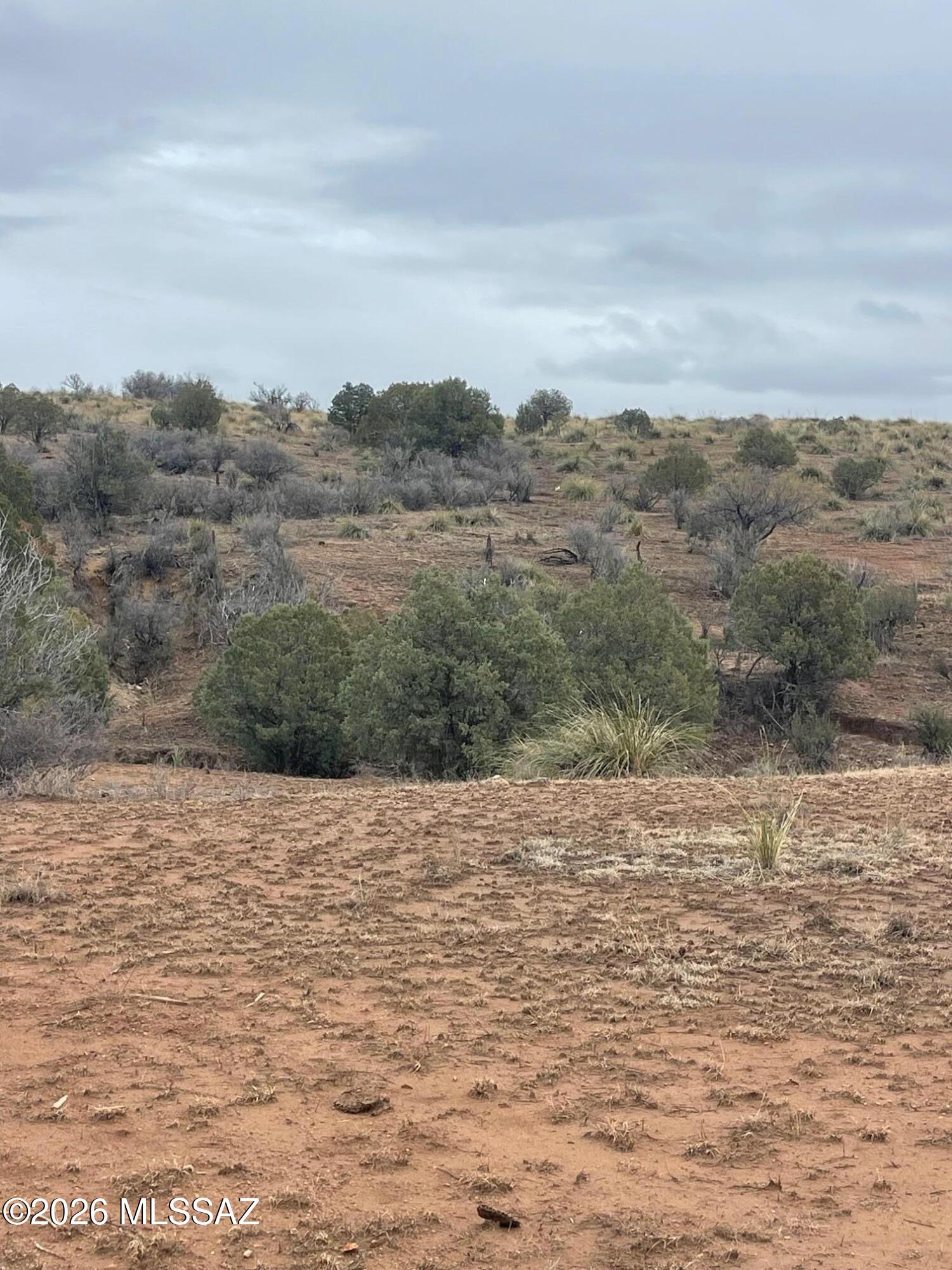 0 Vaughn Loop Road Elgin, AZ 85611 - Photo 9 of 9