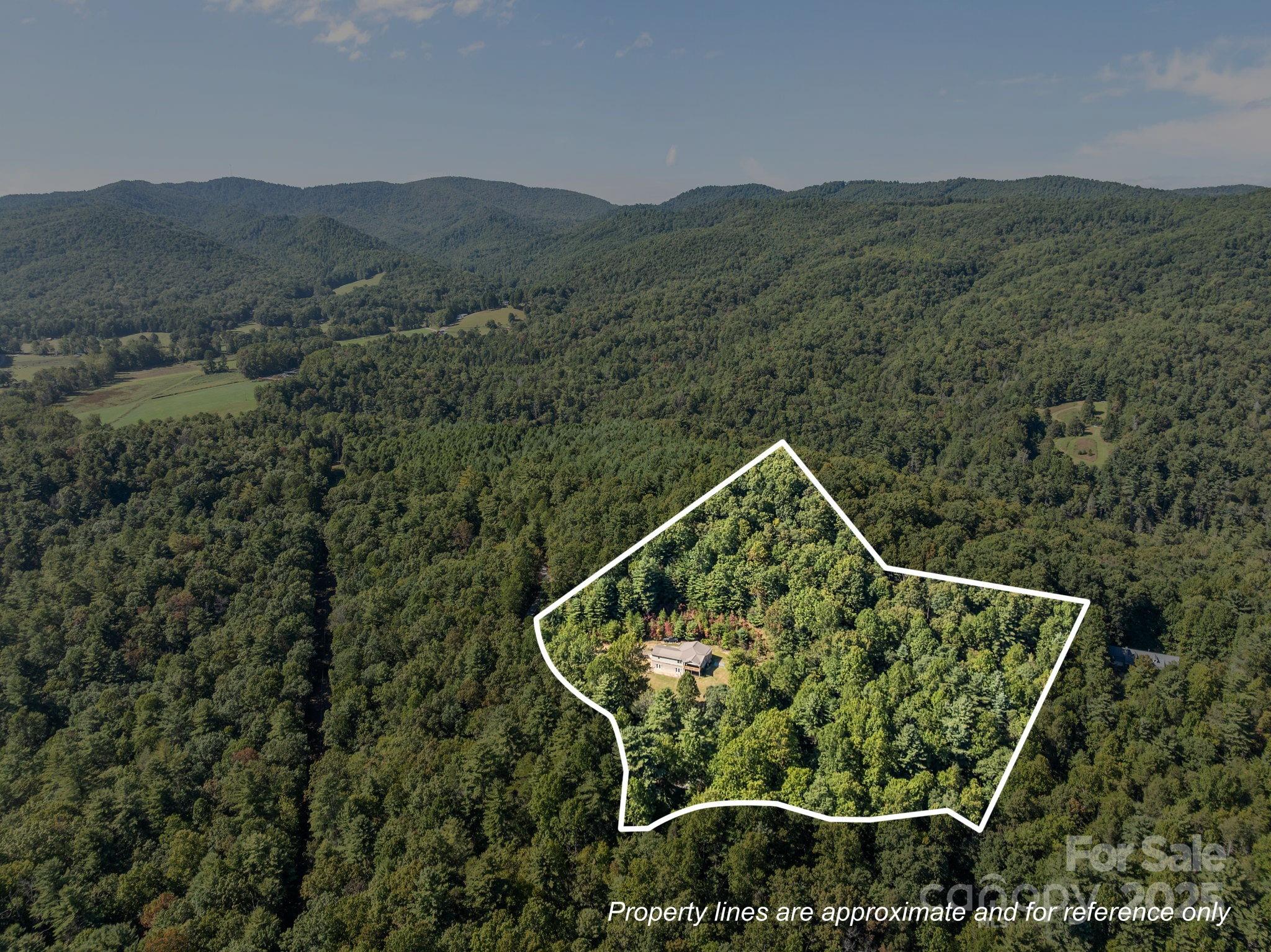 473 Eli Capps Road Zirconia, NC 28790 - Photo 2 of 37 a view of a roof deck with mountain view