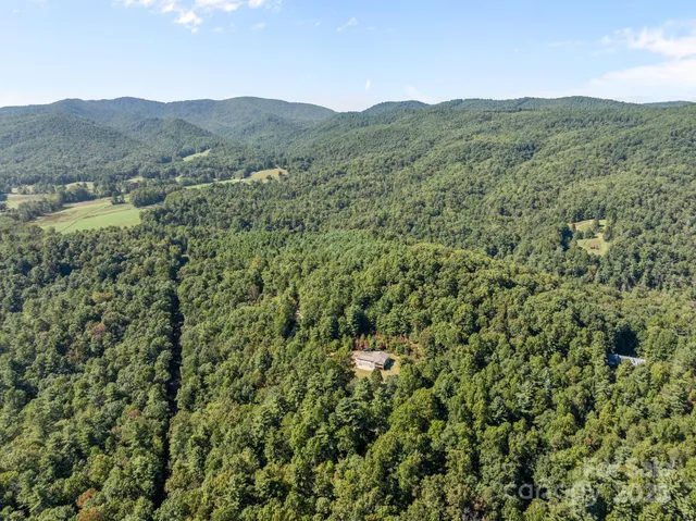 $350,000 | 473 Eli Capps Road, Zirconia, NC 28790