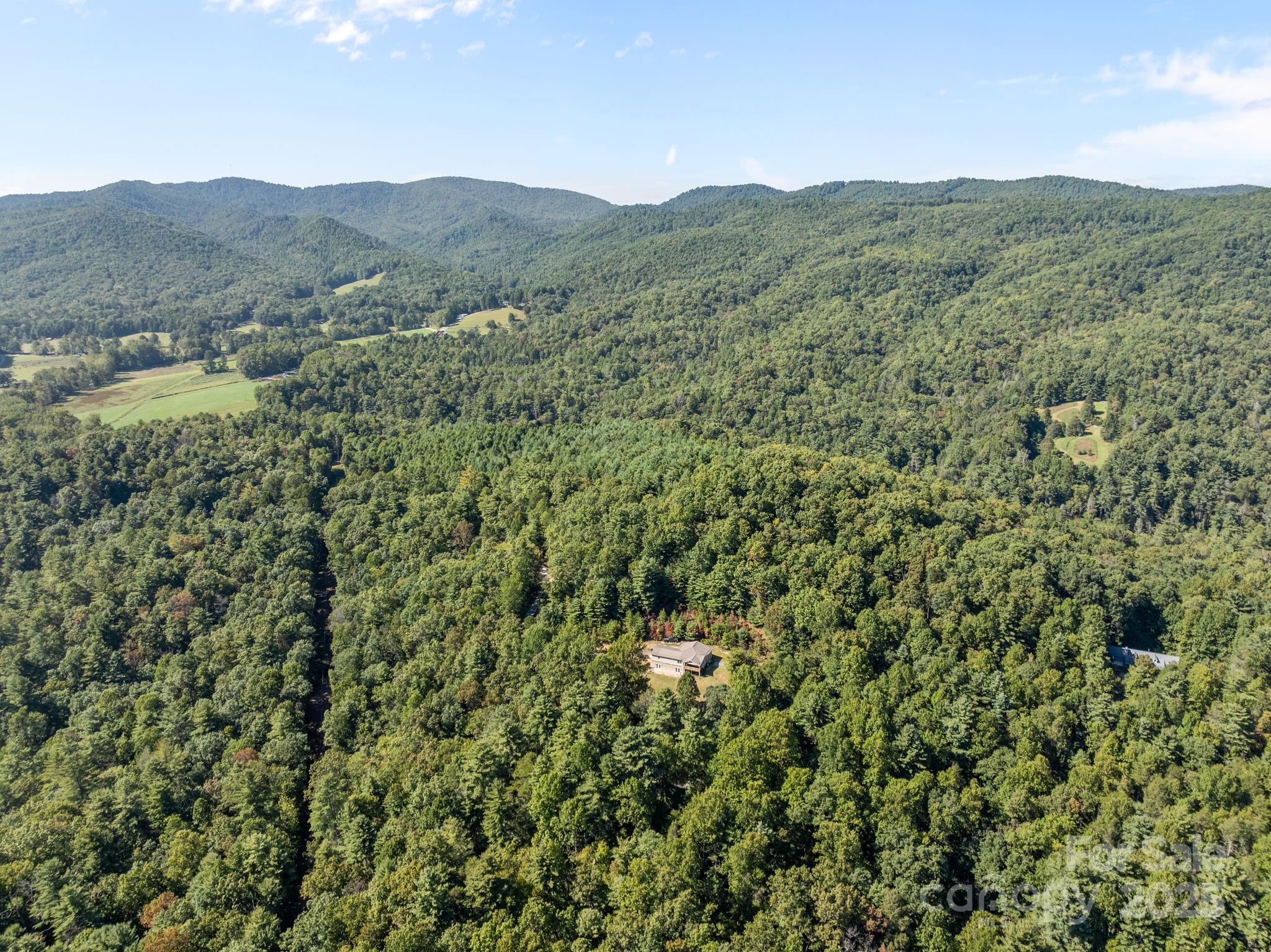 473 Eli Capps Road Zirconia, NC 28790 - Photo 37 of 37 a view of a valley with a mountain in the background