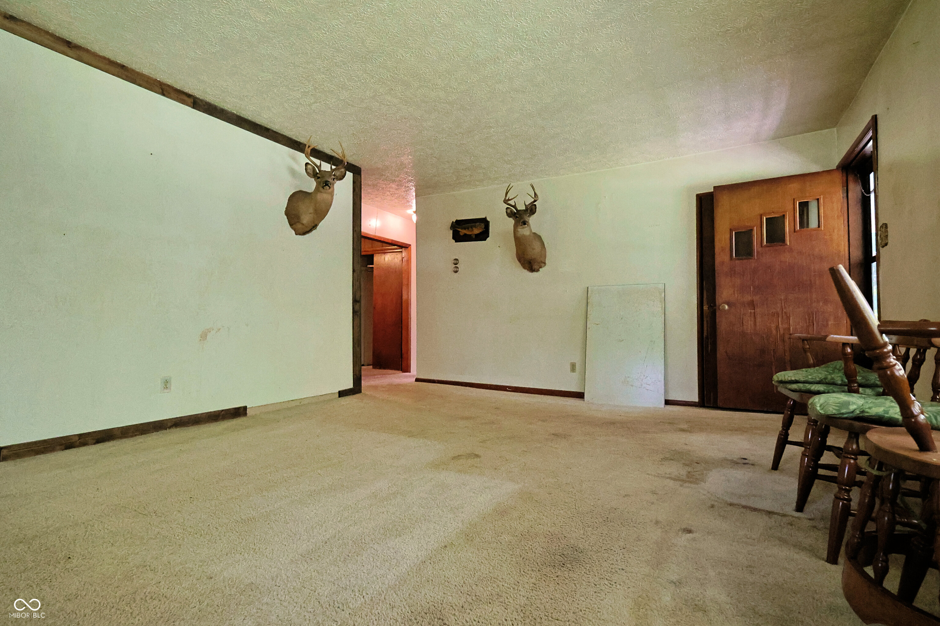 8317 Bean Blossom Road Trafalgar, IN 46181 - Photo 13 of 42